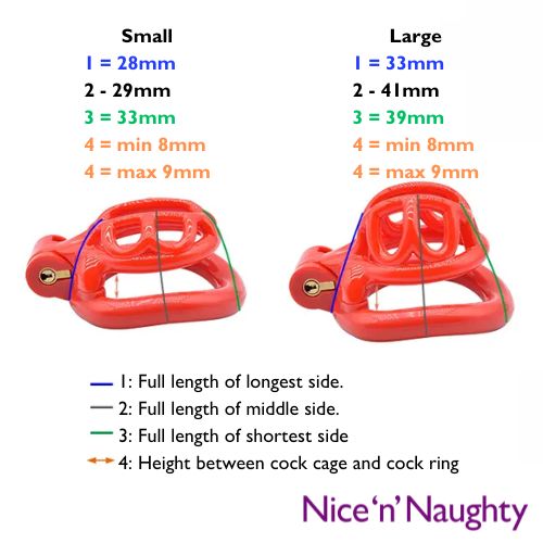 Nice 'n' Naughty The Turtle Cock Cage from Nice 'n' Naughty