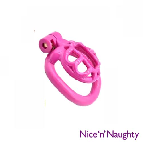 Nice 'n' Naughty The Turtle Cock Cage from Nice 'n' Naughty